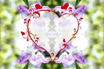 FX №19347 The best image. Images for cards the flower gladiolus.