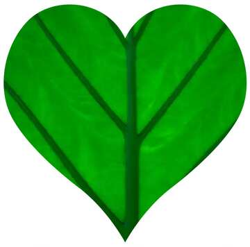 FX №19025 Heart of leaf