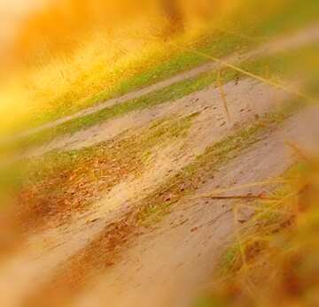 FX №19980 Image for profile picture Dirt road in autumn.