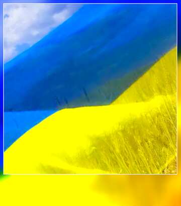 FX №19324 Image for profile picture The Flag Of Ukraine.