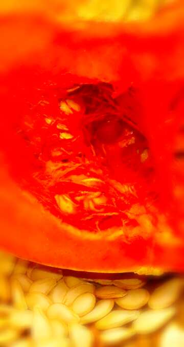 FX №19646 Image for profile picture Pumpkin seeds.