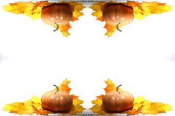 FX №19622 Texture. Pumpkin with autumn leaves no background.