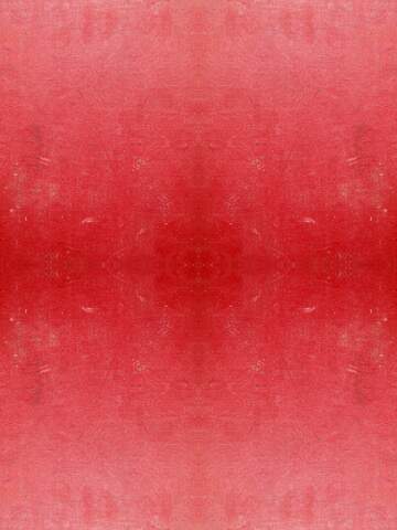 FX №19238 Texture. The texture of the old red folder.