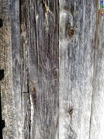 FX №19008 Texture. Vintage wood.