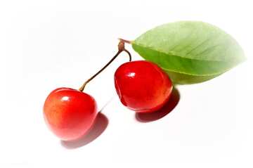 FX №19268 two cherries with leaf isolated on white background