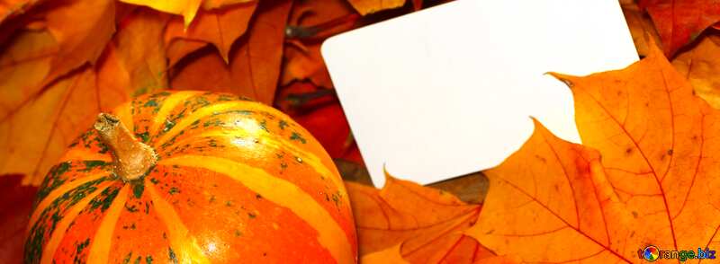 Cover. Autumn invitation for halloween. №35184