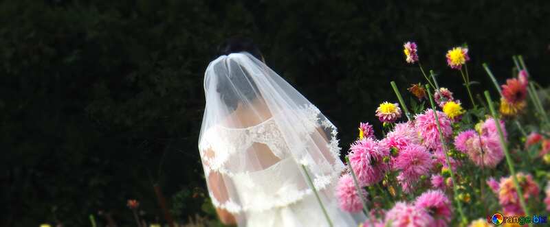 Cover. The bride in the flower garden. №35807