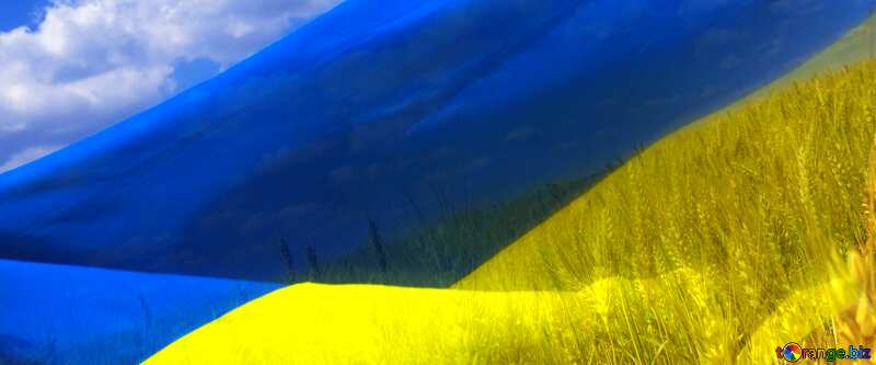Cover. The Flag Of Ukraine. №33620