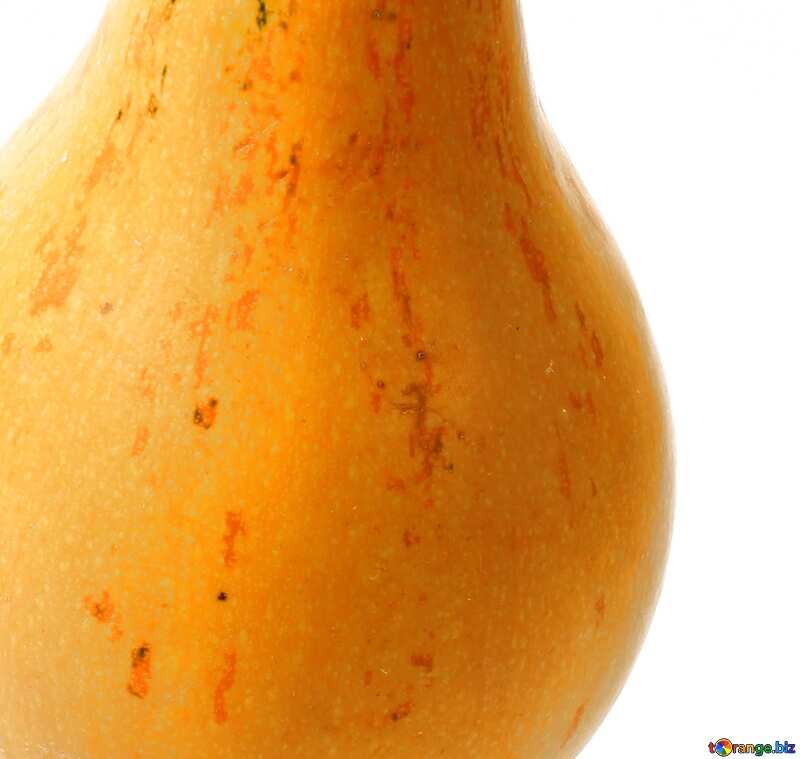 Cover. Pumpkin as pear in isolation. №35002