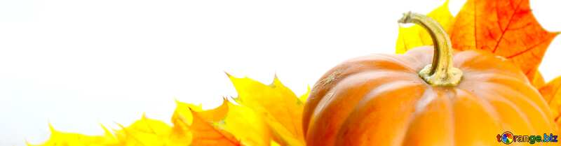 Cover. Pumpkin with autumn leaves for card. №35466