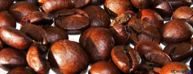 Cover. A sprinkle of coffee beans. №32294
