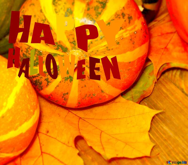 Image for profile picture Autumn background with pumpkins. №35219