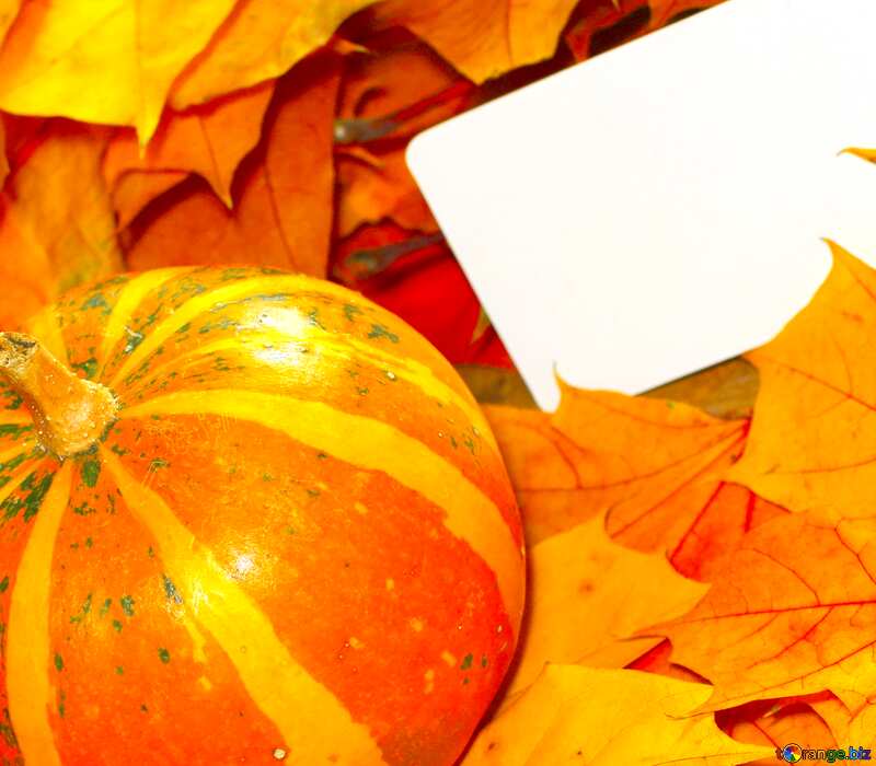 Image for profile picture Autumn invitation for halloween. №35184