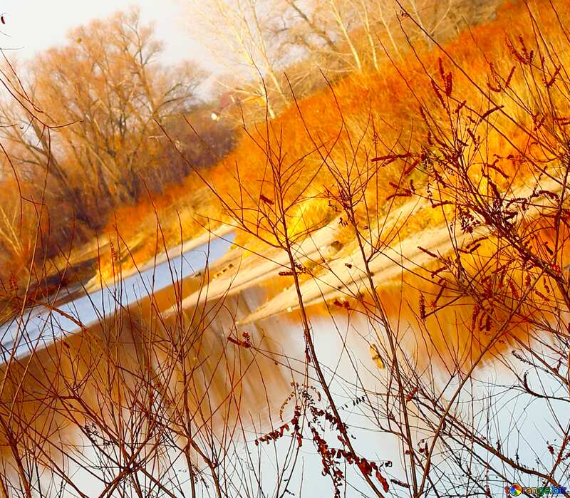 Image for profile picture Autumn landscape near the river. №38615