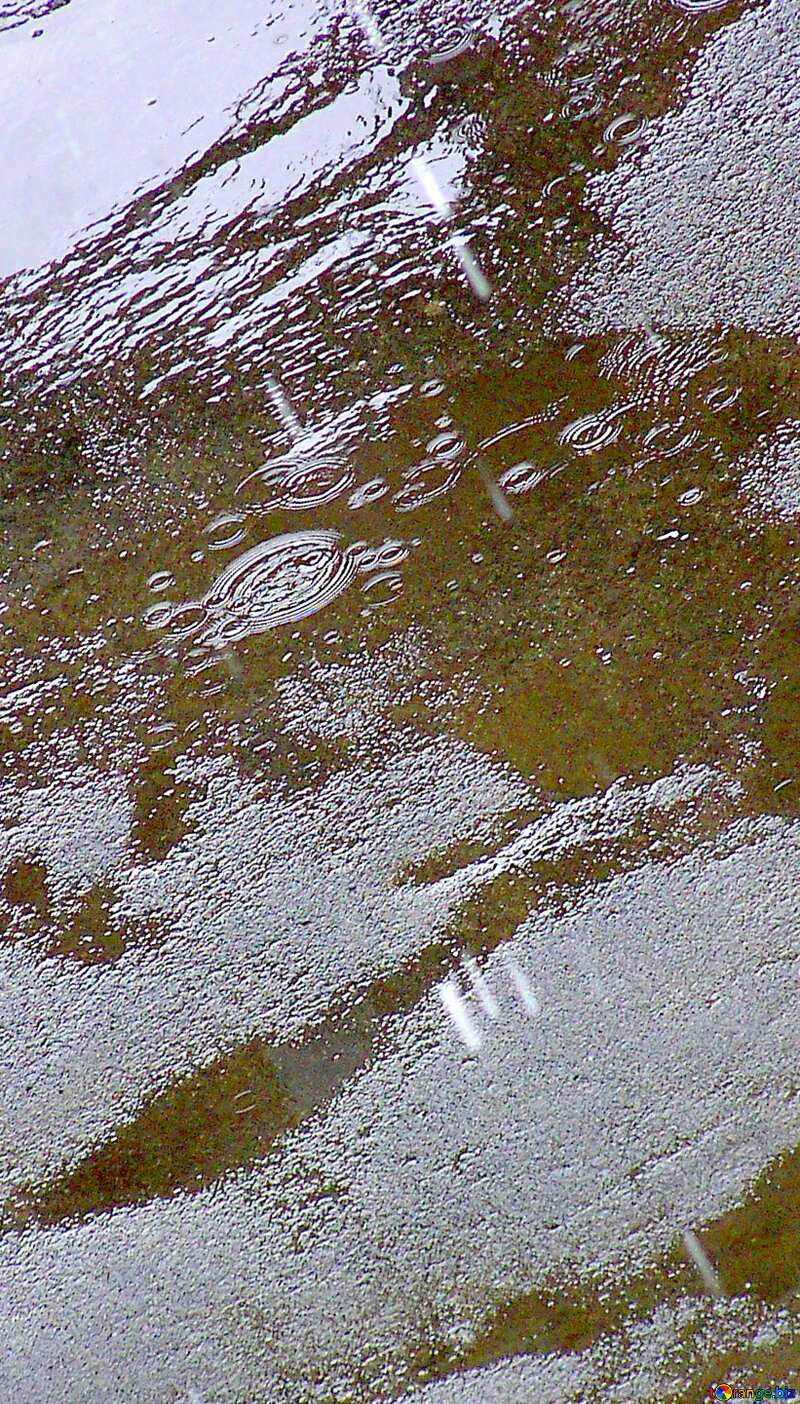 Image for profile picture Puddle on the pavement with raindrops. №290