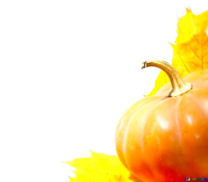 Image for profile picture Pumpkin with autumn leaves no background. №35463