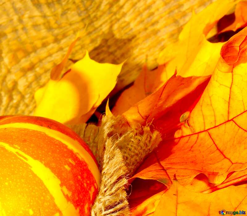 Image for profile picture Wallpaper with pumpkin and autumn leaves. №35452