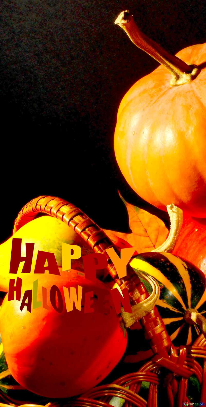 Image for profile picture Beautiful picture with pumpkins. №35346