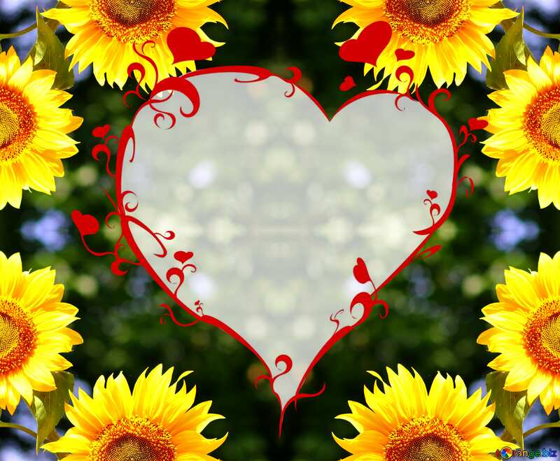 Sunflower heart frame №32701