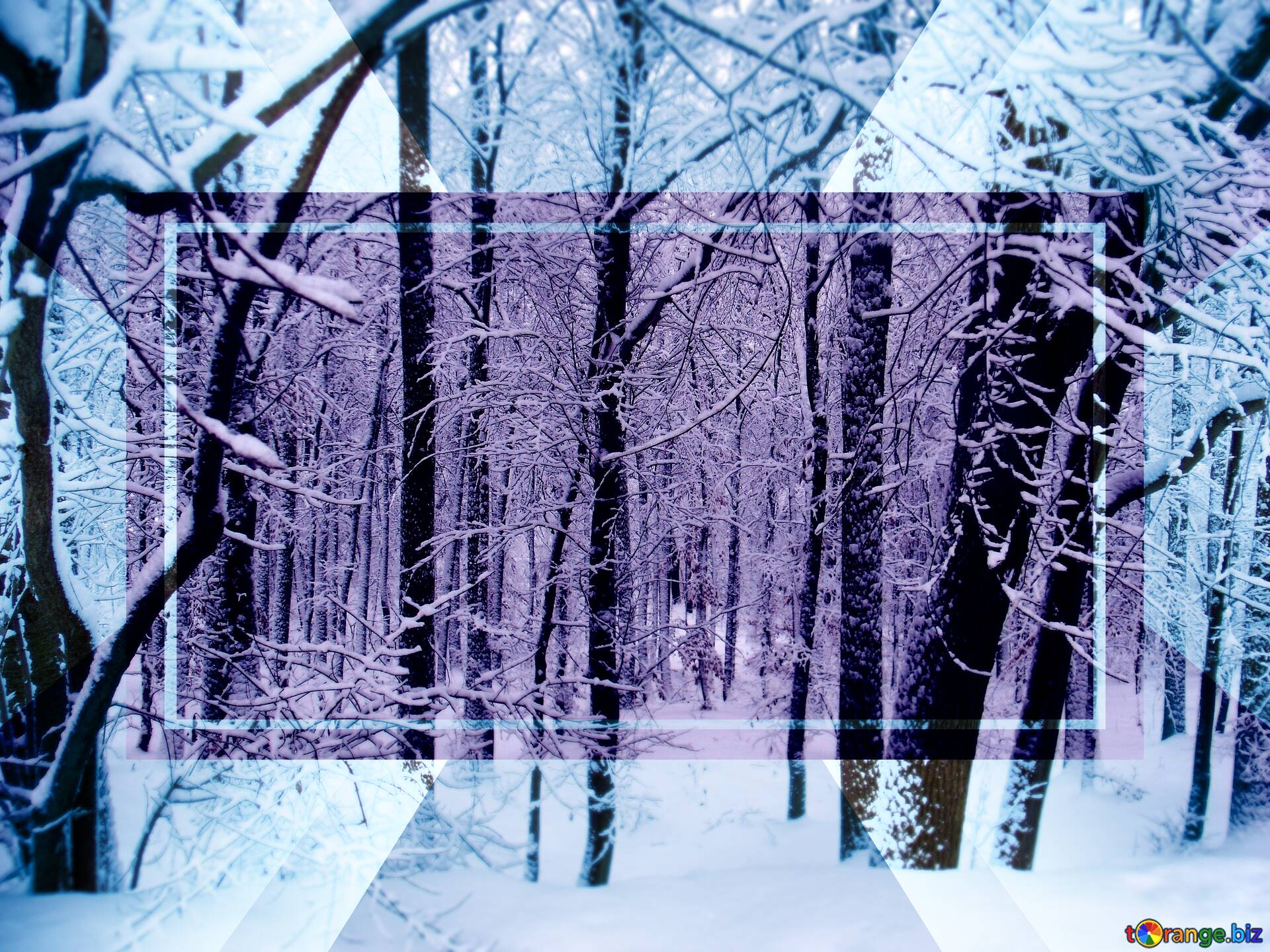winter forest templates