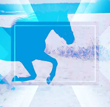 FX №190115  Horse Infographic Creative Design Background Design Template
