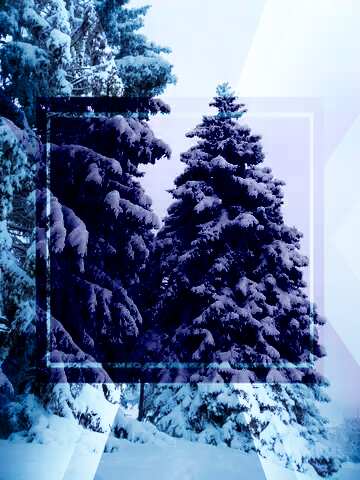 FX №190985 Spruce winter snow powerpoint website infographic template banner layout design responsive brochure ...