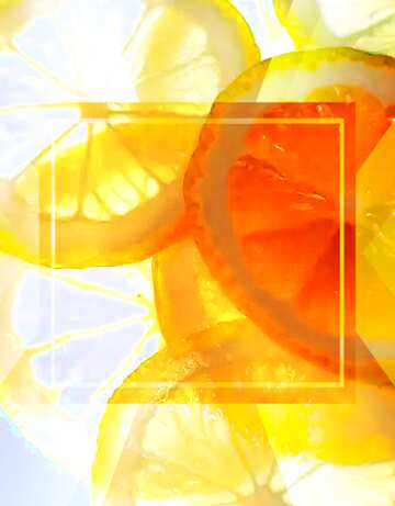 FX №190054 Sliced ​​lemon Design Template Infographic Banner