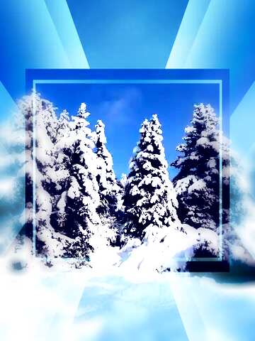 FX №190958  Christmas pine Tree forest Snow sun powerpoint website infographic template banner layout design...