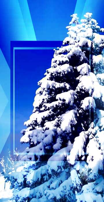 FX №190982  Snow Christmas Tree Large spruce Happy New Year Template