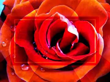 FX №190297 Rose flower Template frame Responsive Design