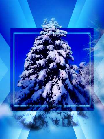 FX №190977  Christmas Tree covered snow