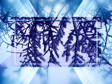 FX №190971 Snow in the branches Template