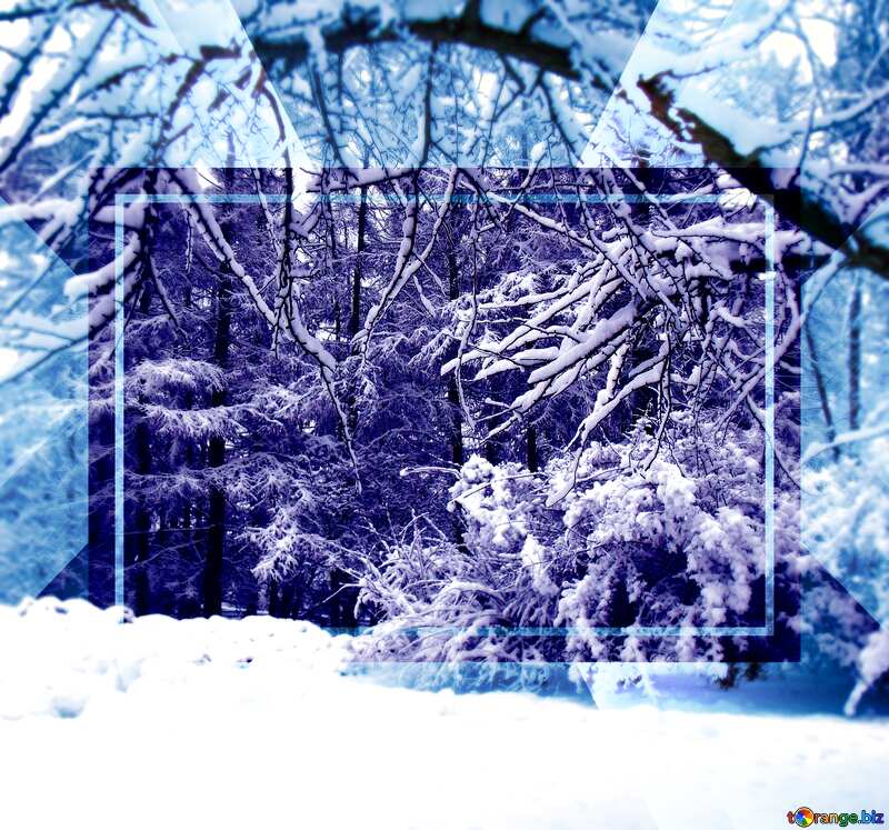 Winter snow forest powerpoint website infographic template banner layout design responsive brochure business №10530