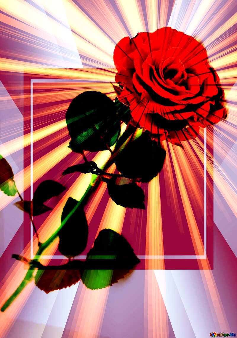  Design Banner Red Rose Vintage Infographic Template №16891