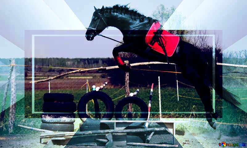 Horse jump Template №11051