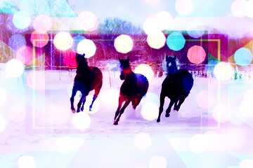 FX №191585  Three horses in the snow Happy Year Card Background Christmas Bokeh Template