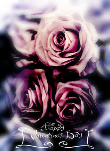 FX №191170 Flower rose  valentines