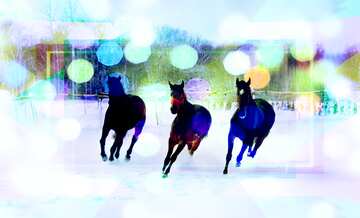 FX №191586 Three horses in the snow Template