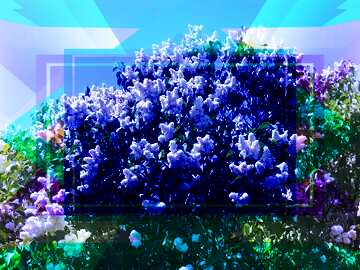 FX №191553  Lilac Garden Blank Template