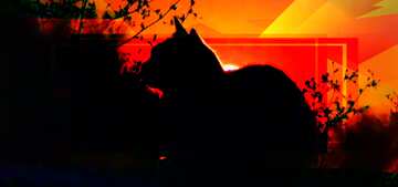 FX №191672  Cat on sunset frame Template