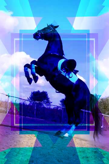 FX №191705  Dance Horse Infographic Template