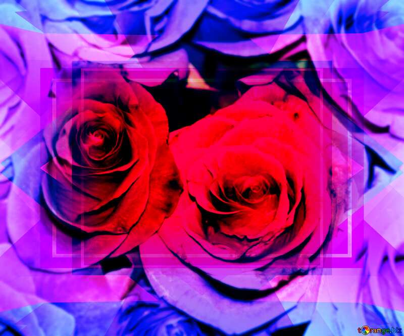 roses Background Design Frame Business Template №1419