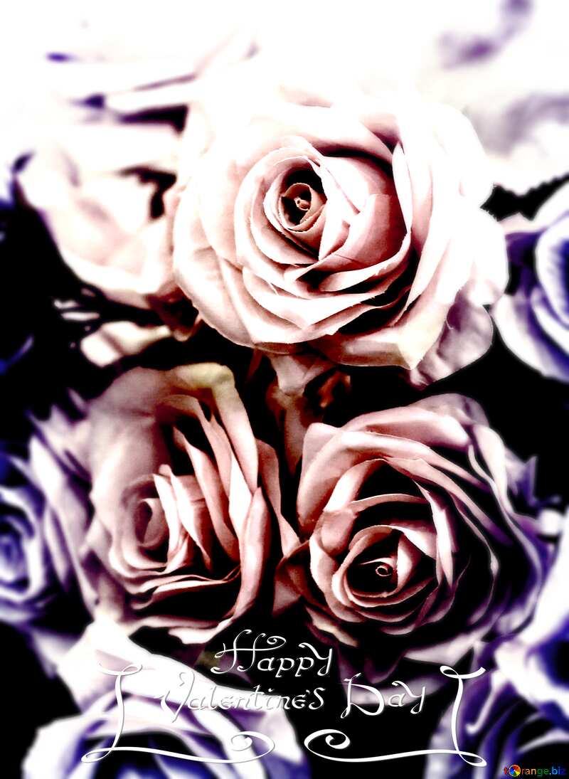 Flower rose  valentines day №47121