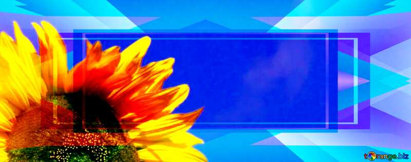  Sunflowers on background of blue sky Template banner №2489