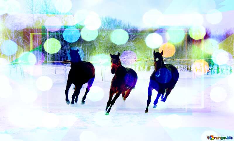 Three horses in the snow Template №3982