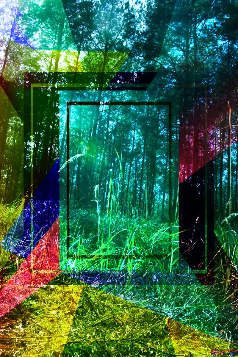 Sun in the grass in pine forest Colorful illustration template frame responsive №2148