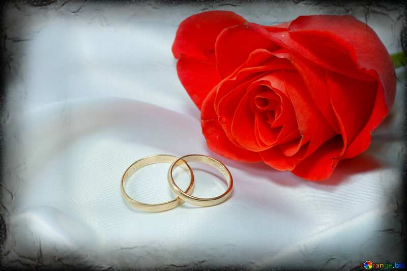 Rosa Engagement rings. dark frame №7220