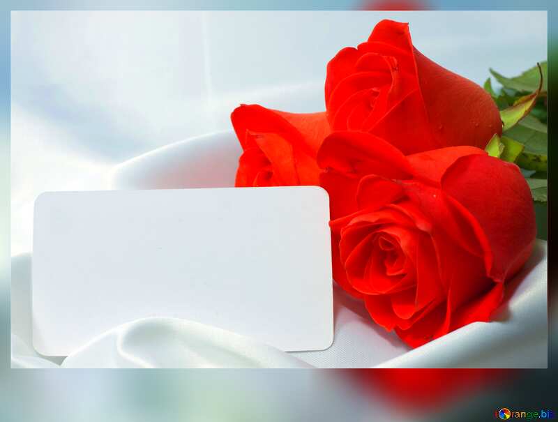 Roses flower  business card frame №7245