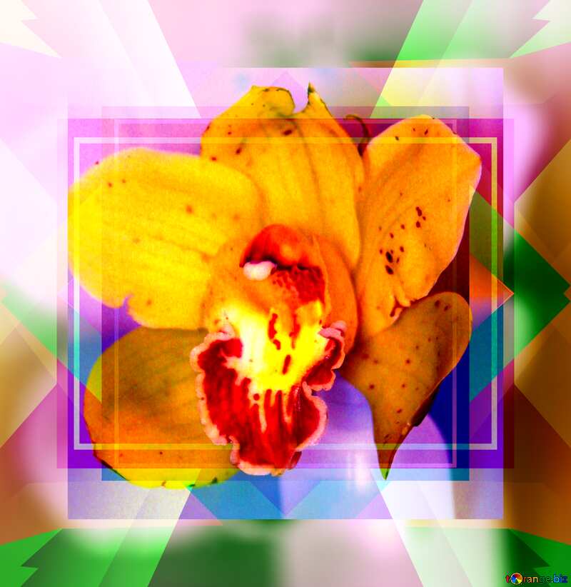 Orchid frame blank №973