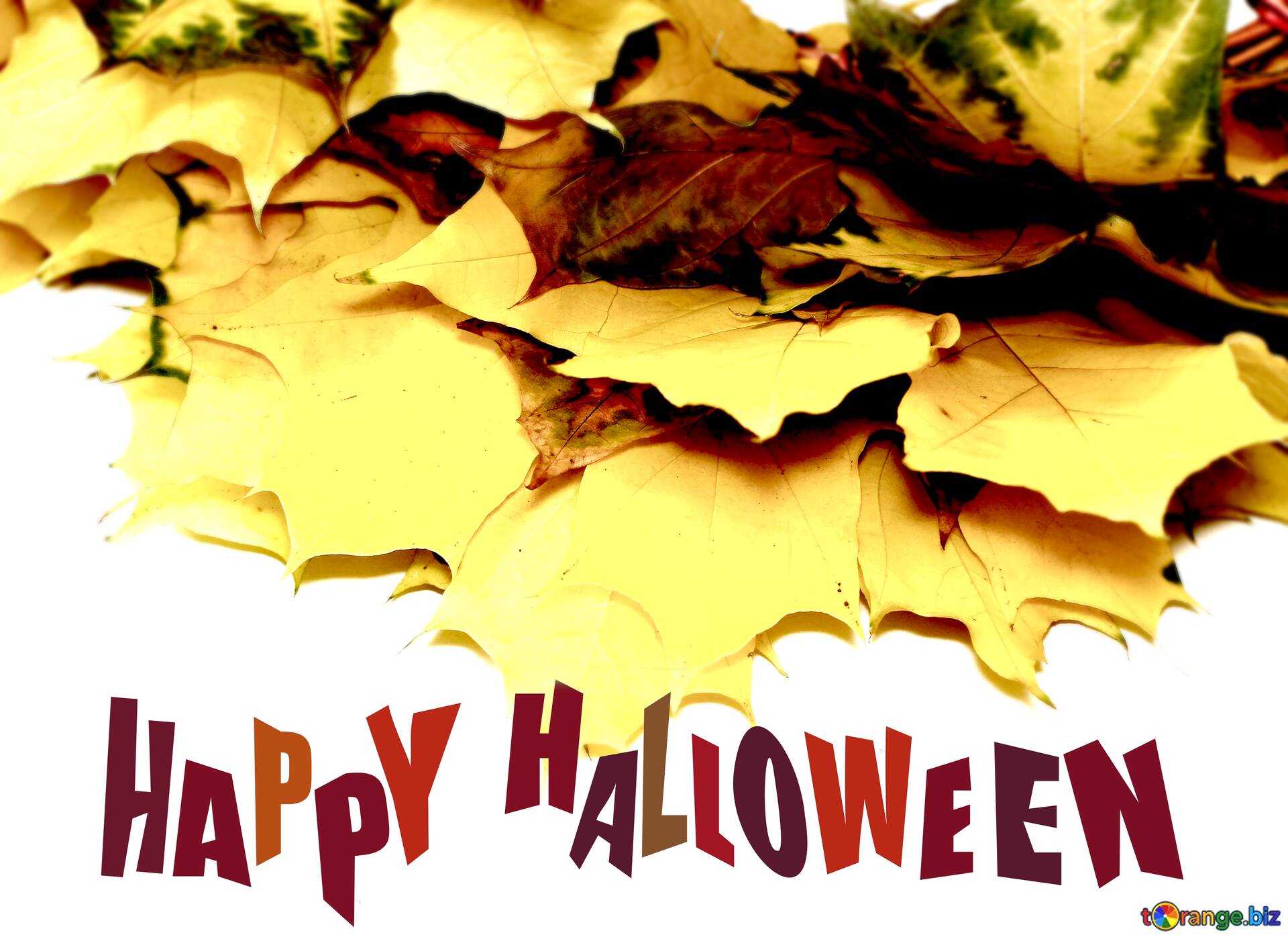 download-free-picture-isolated-autumn-leaves-frame-happy-halloween-on